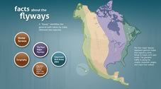 Mississippi Flyways Kiosk